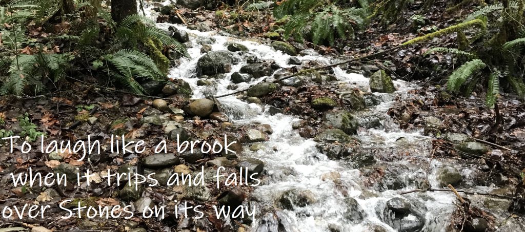 "To laugh like a brook when it trips and falls over Stones on its way" lyric from the sound of Music. Image of Cherry Valley Creek